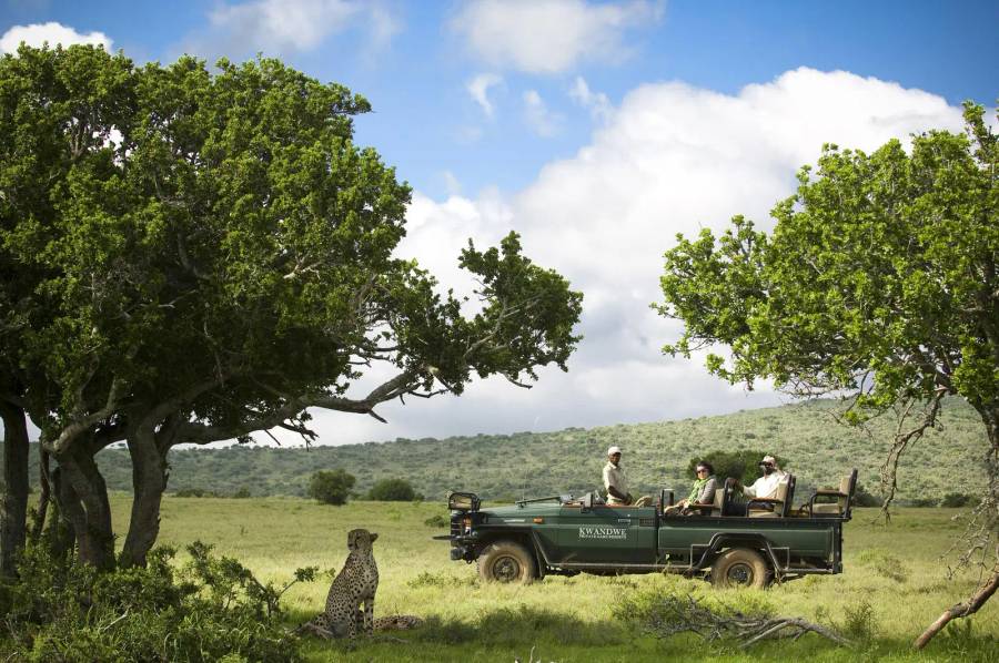 10 Day Kwandwe, Garden Route and Cape Town