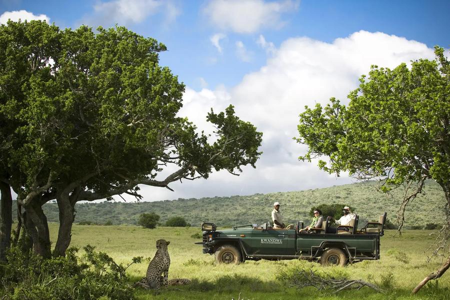 10 Day Kwandwe, Garden Route and Cape Town