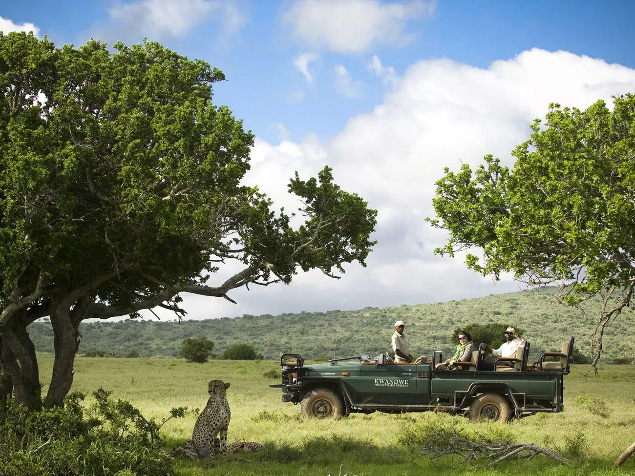 10 Day Kwandwe, Garden Route and Cape Town