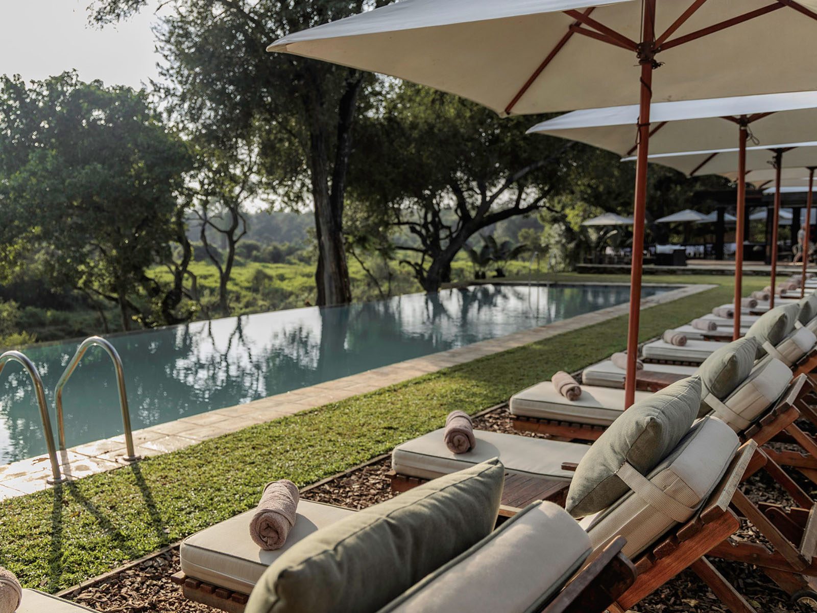 The infinity pool and shaded loungers at Becks Safari Lodge