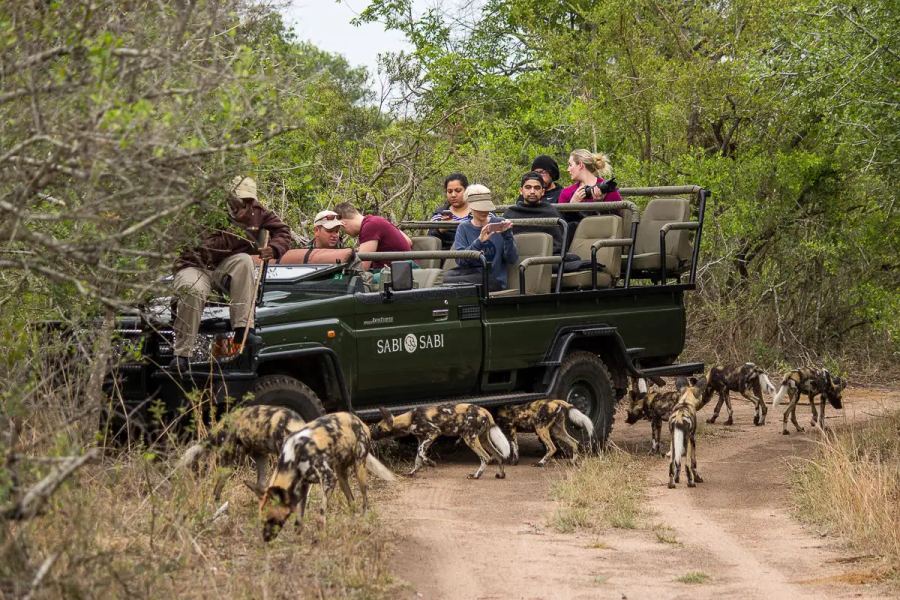 5 Day Sabi Sabi Bush Lodge Package