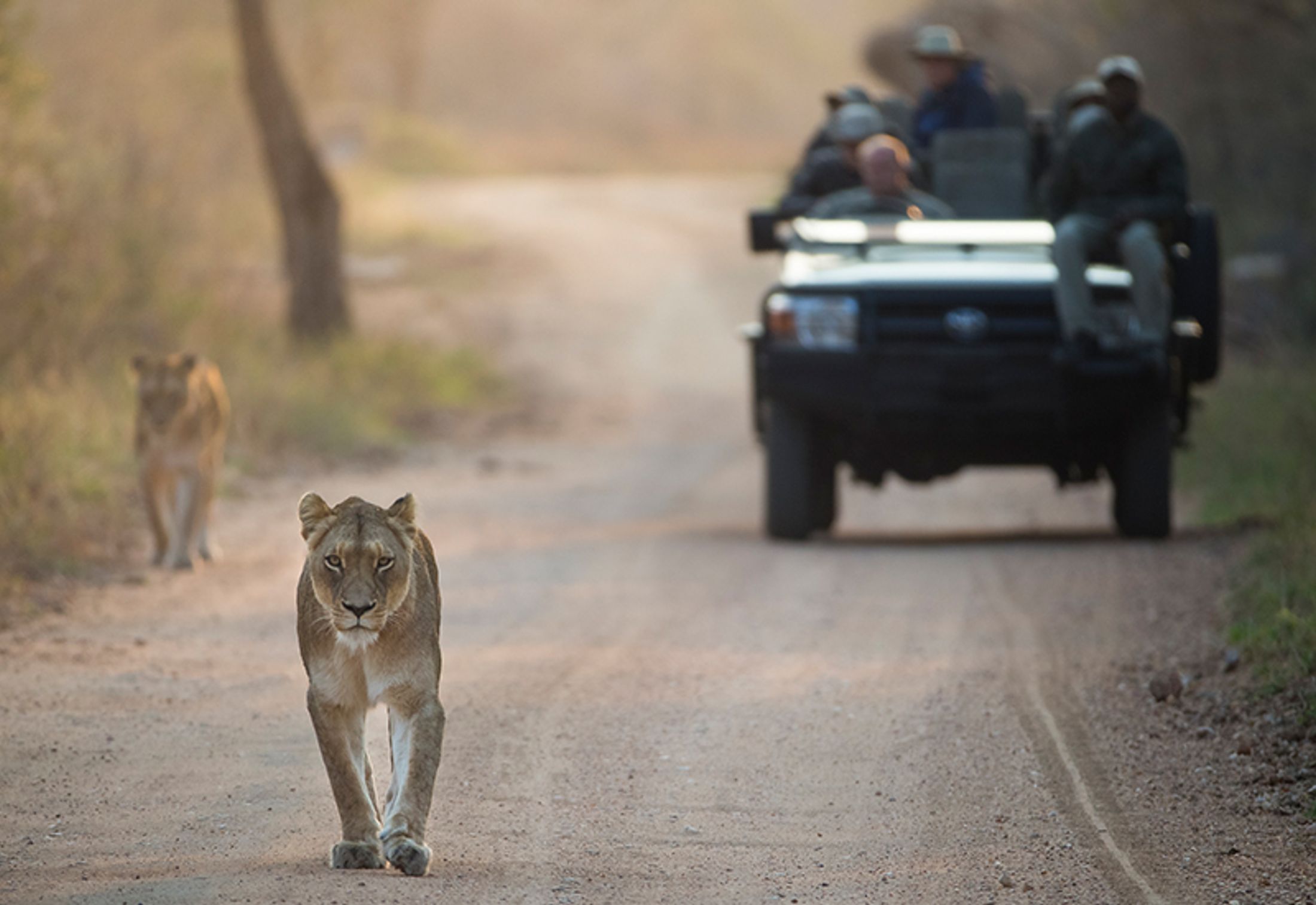 Different Regions of the Greater Kruger Park
