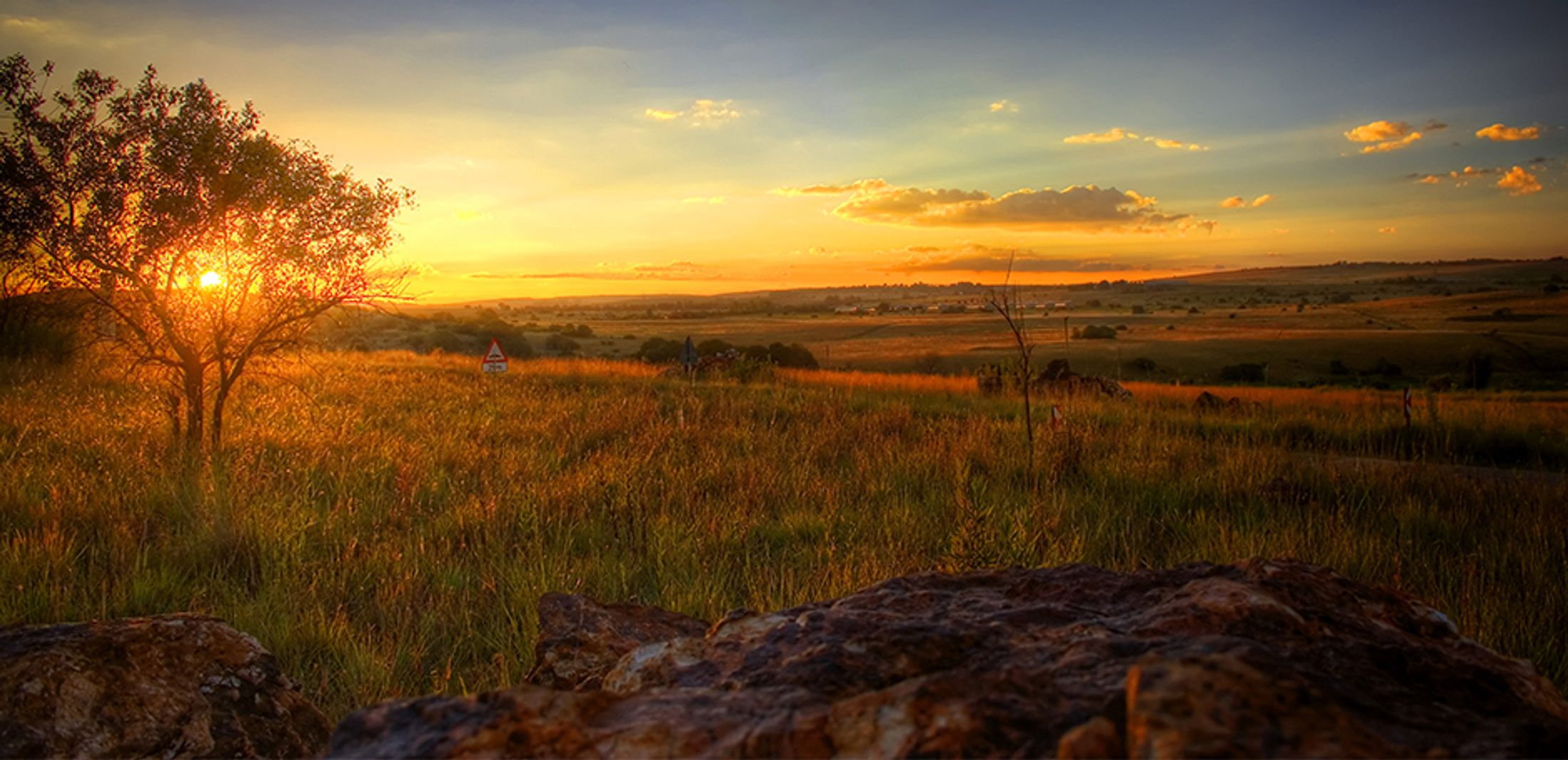 We All Have Roots In Africa: The Cradle of Humankind