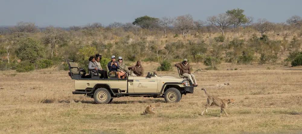 4-Day All-Inclusive Fly-In Sabi Sand Safari