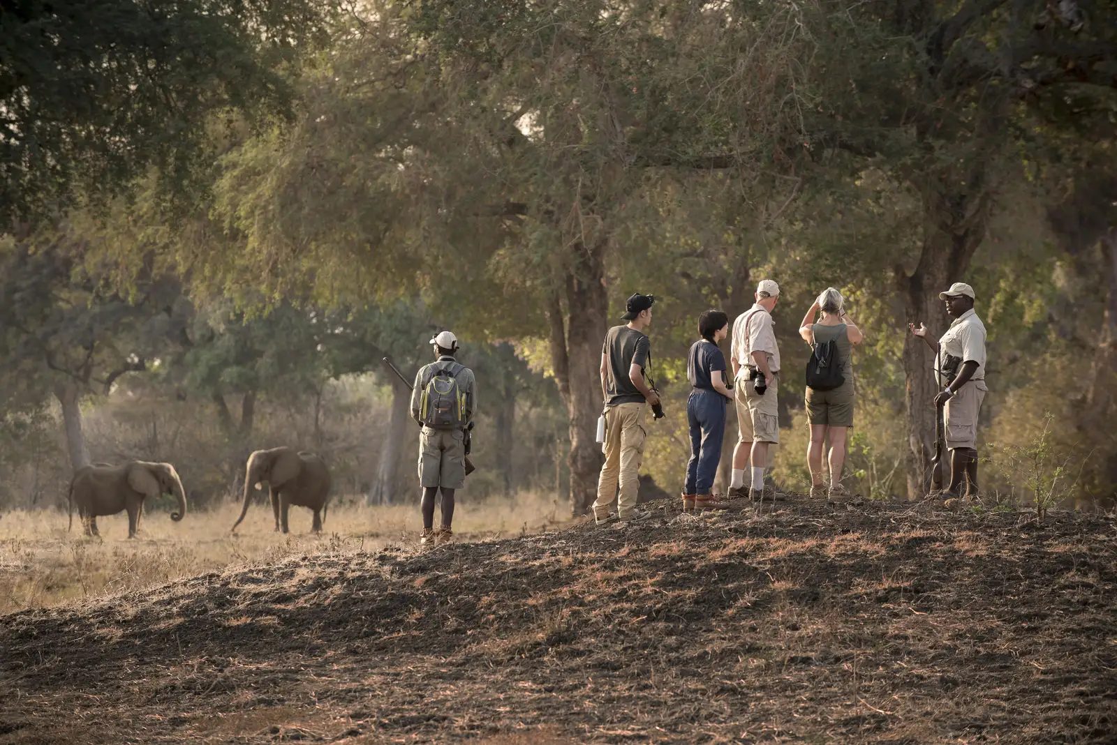 Nyamatusi, Mana Pools