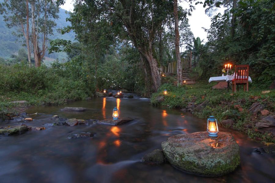 Mahogany Springs Lodge