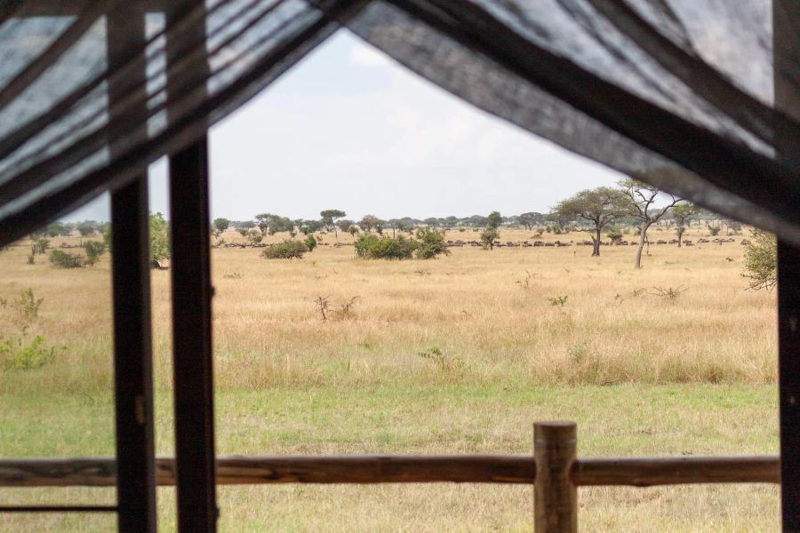 6-Day Grumeti Safari Promotion