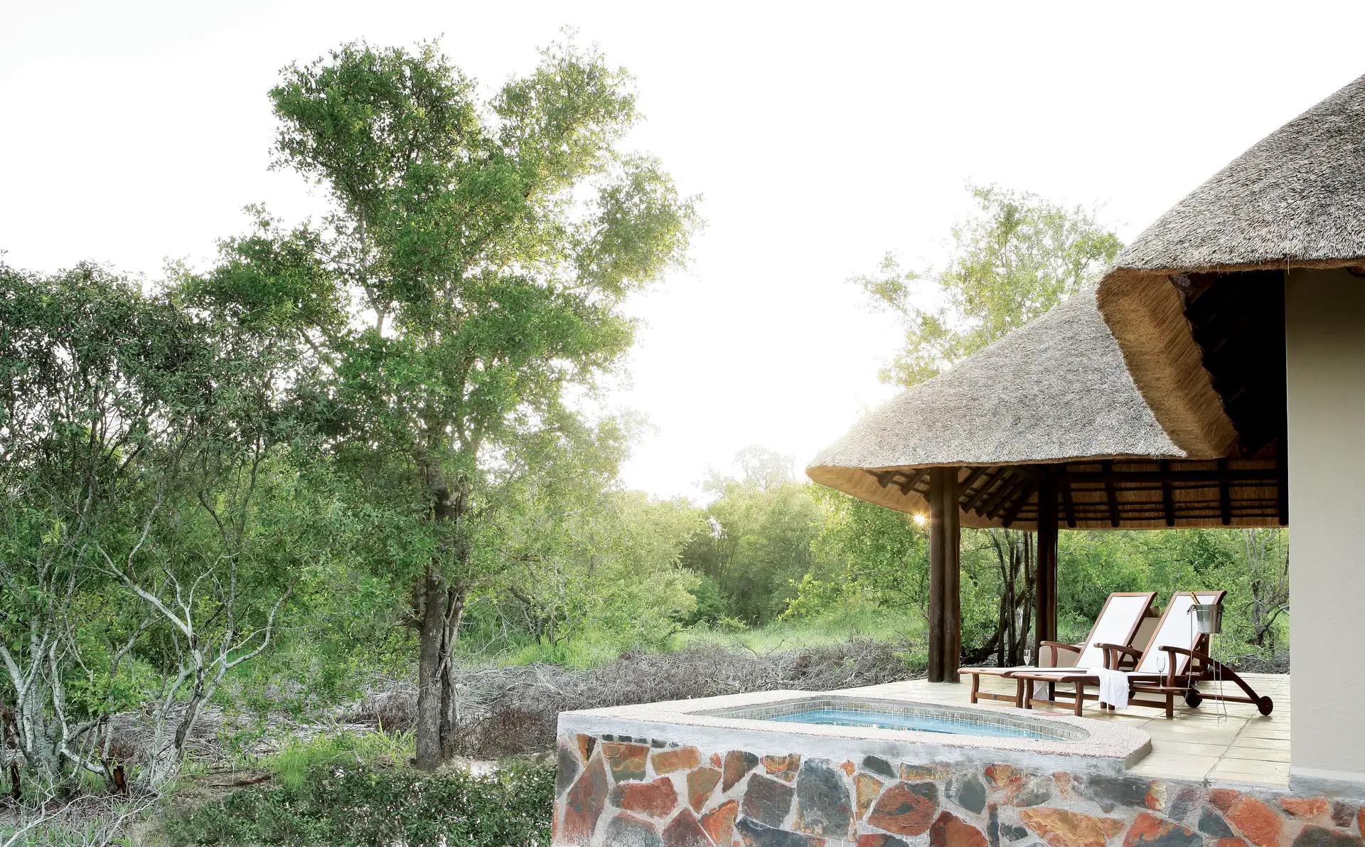 8-Day Journey: Safari, Cellars & City Lights