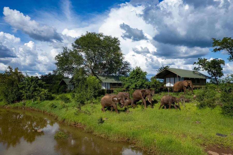 11-Day Southern Africa Safari in Style