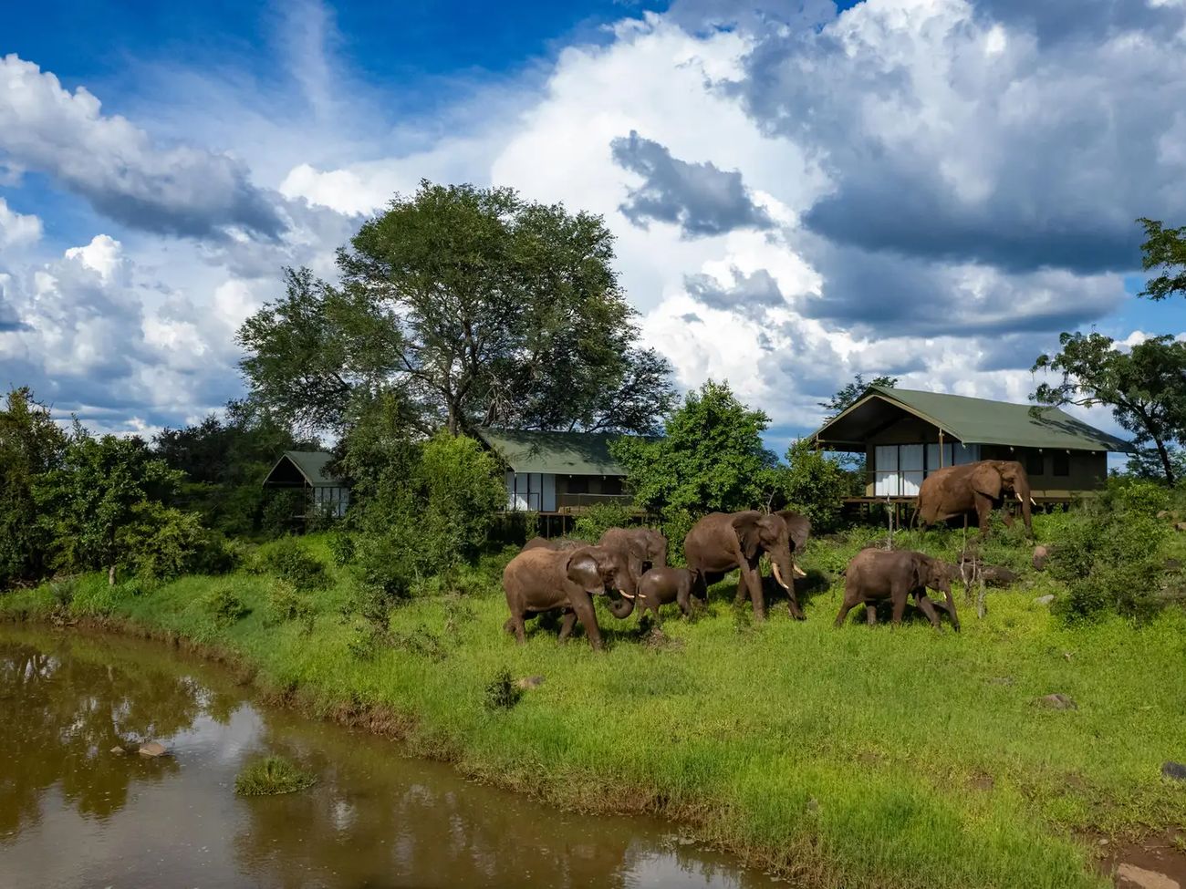 11-Day Southern Africa Safari in Style