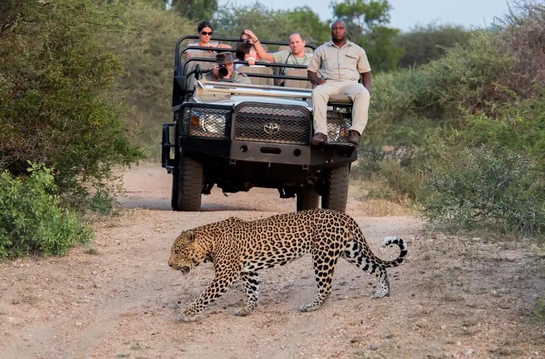 3 Day Kapama Fly-In Safari 