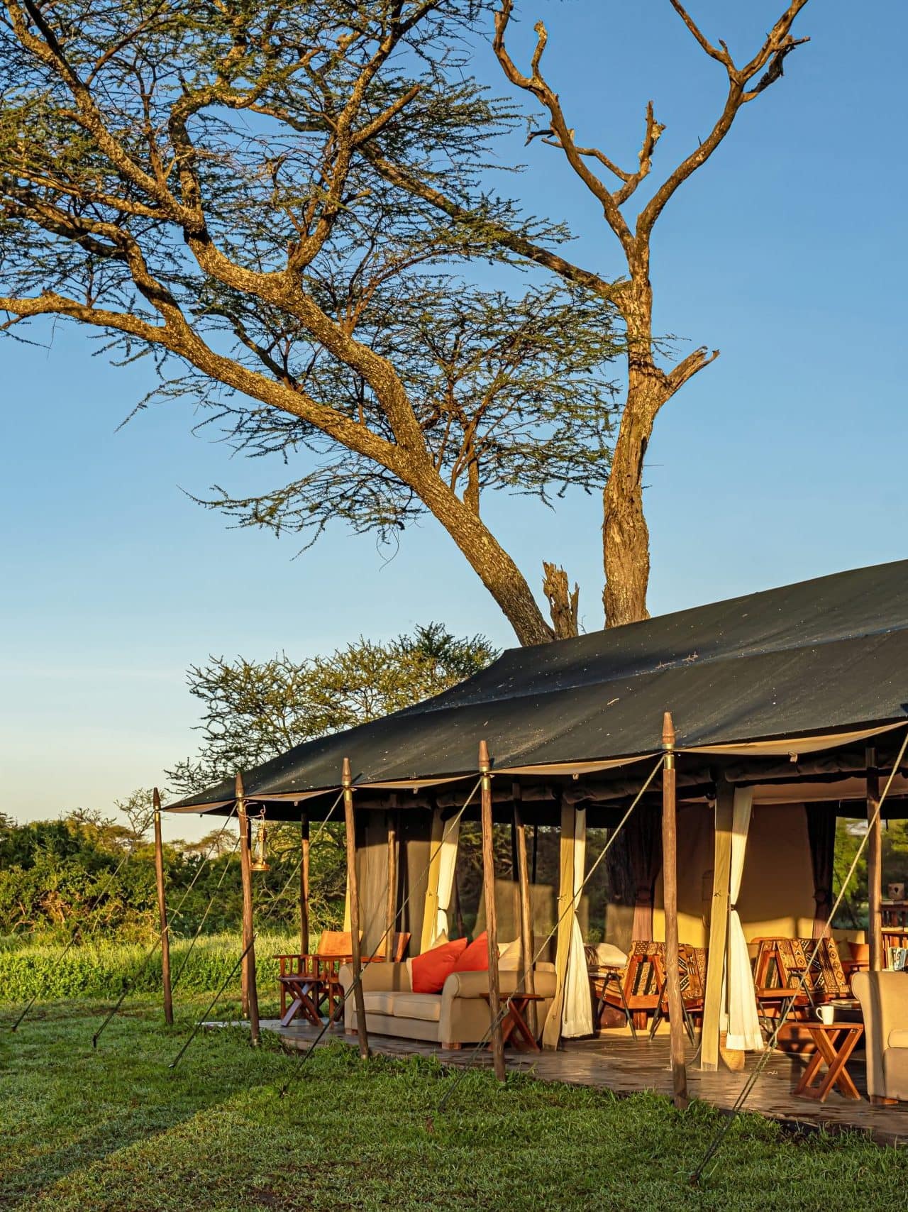 Lemala Ndutu Tented Camp