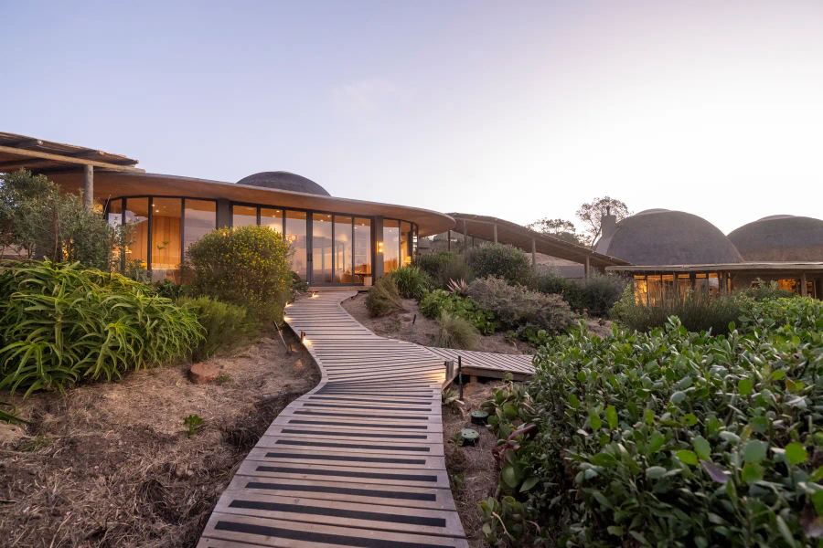  3-Day BIG 5 Cape Safari Getaway