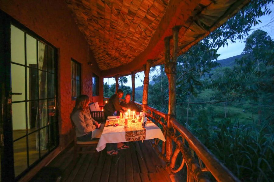 4-Day Gorilla Safari Experience