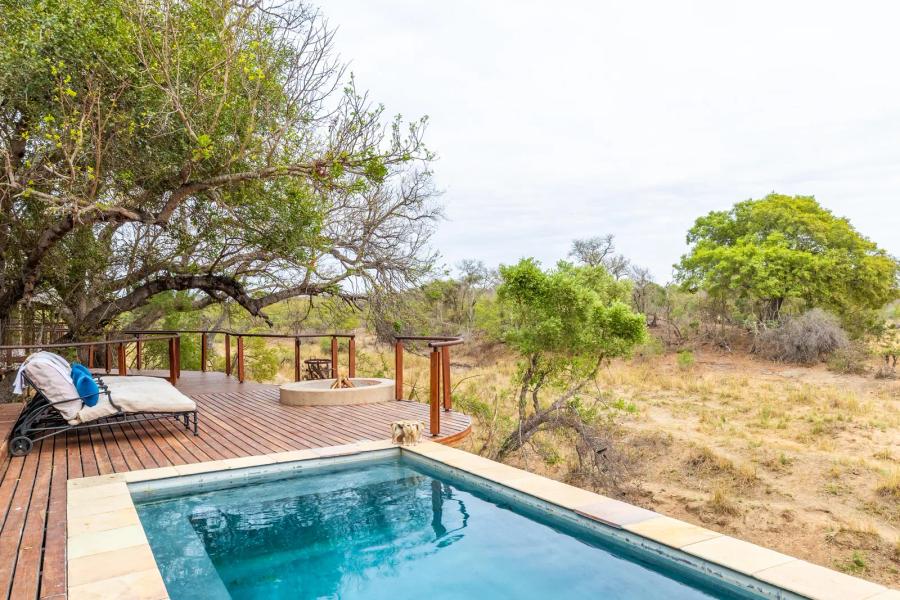 Siviti Timbavati Plains