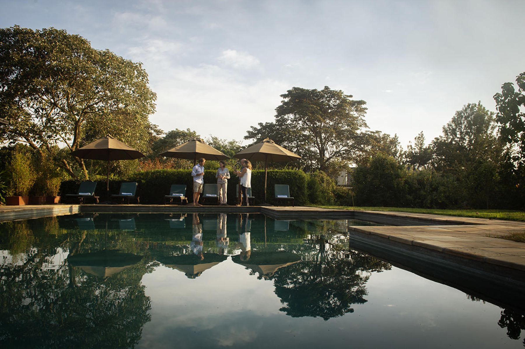 9-Day Northern Circuit Safari of Tanzania