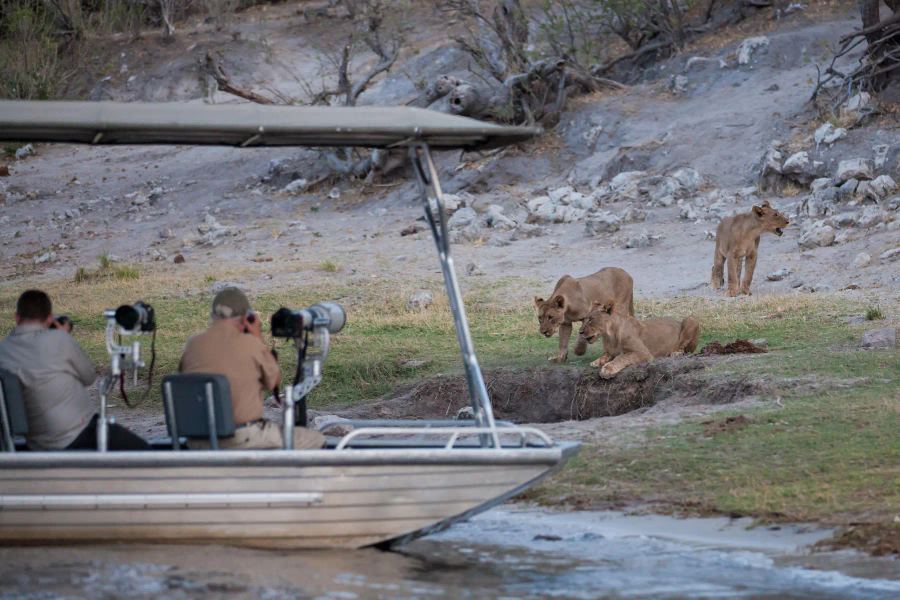 10-Day Scenic Botswana Photo Safari