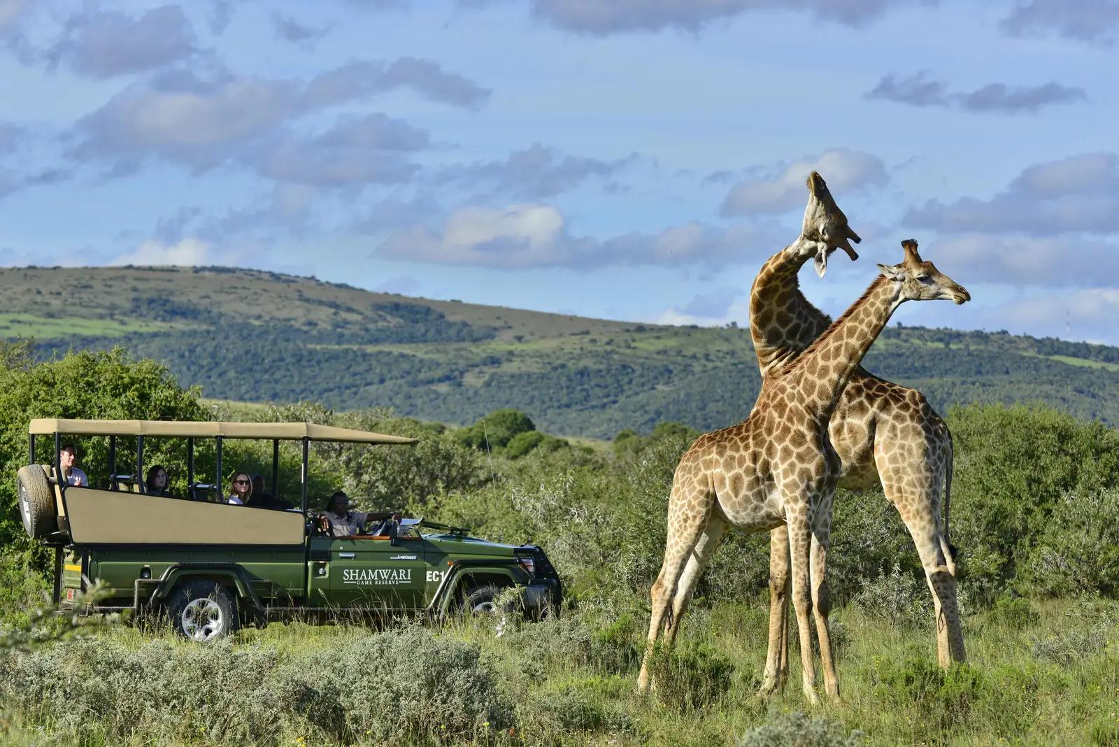Shamwari Long Lee Manor
