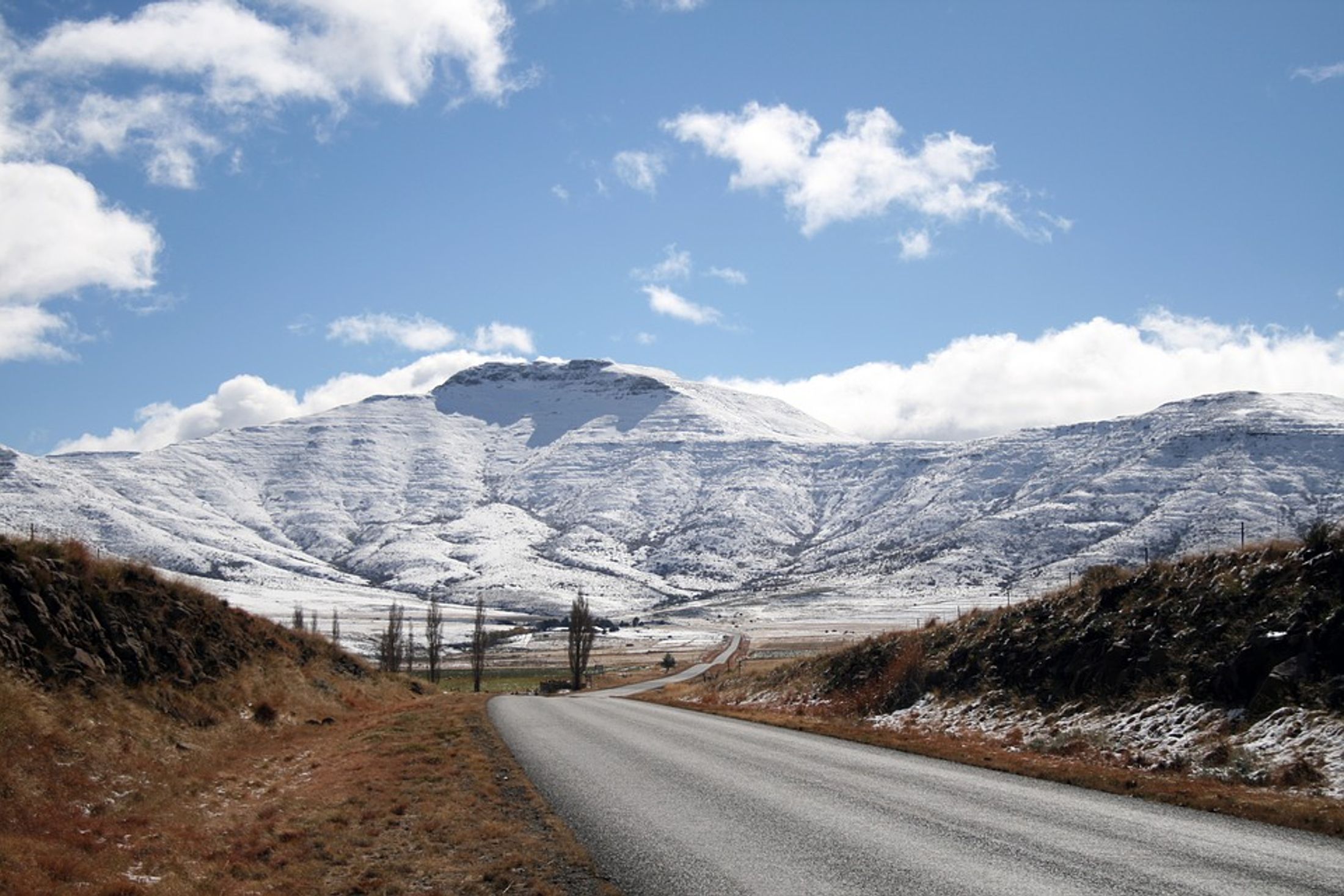 Winter Safari Activities