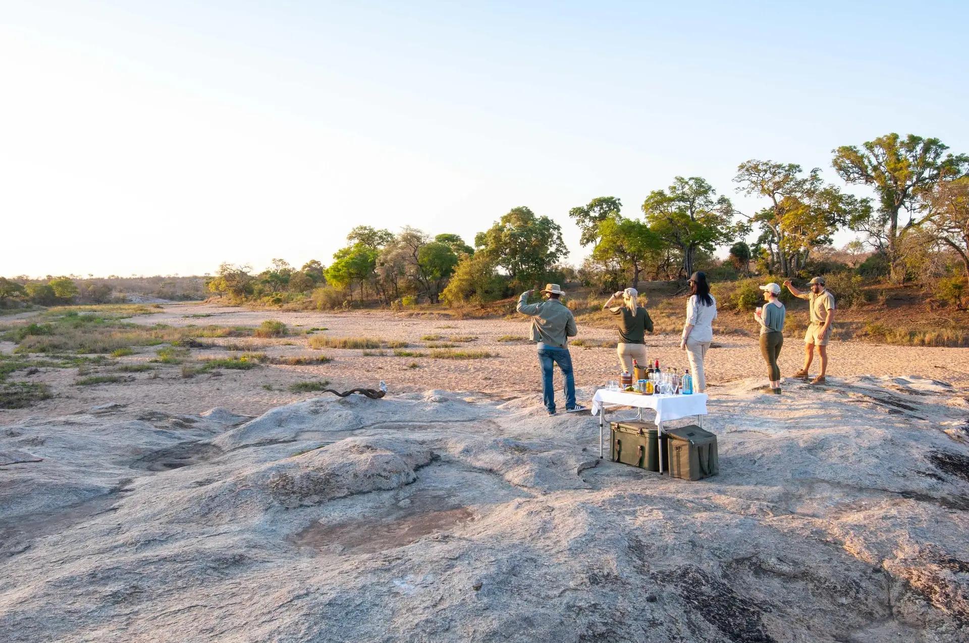 6-Day Luxury Big 5 Kruger to Sabi Sands Safari Adventure
