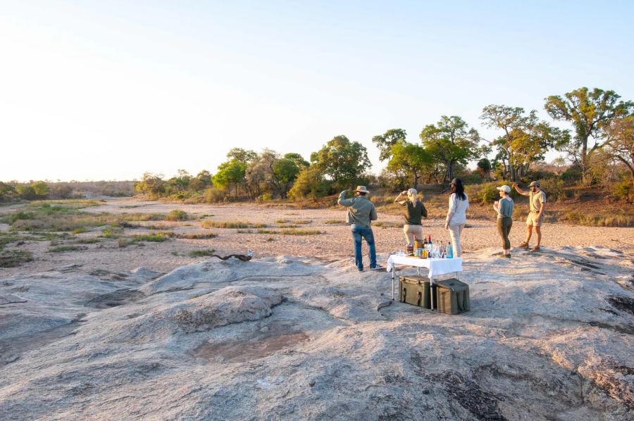 6-Day Luxury Big 5 Kruger to Sabi Sands Safari Adventure