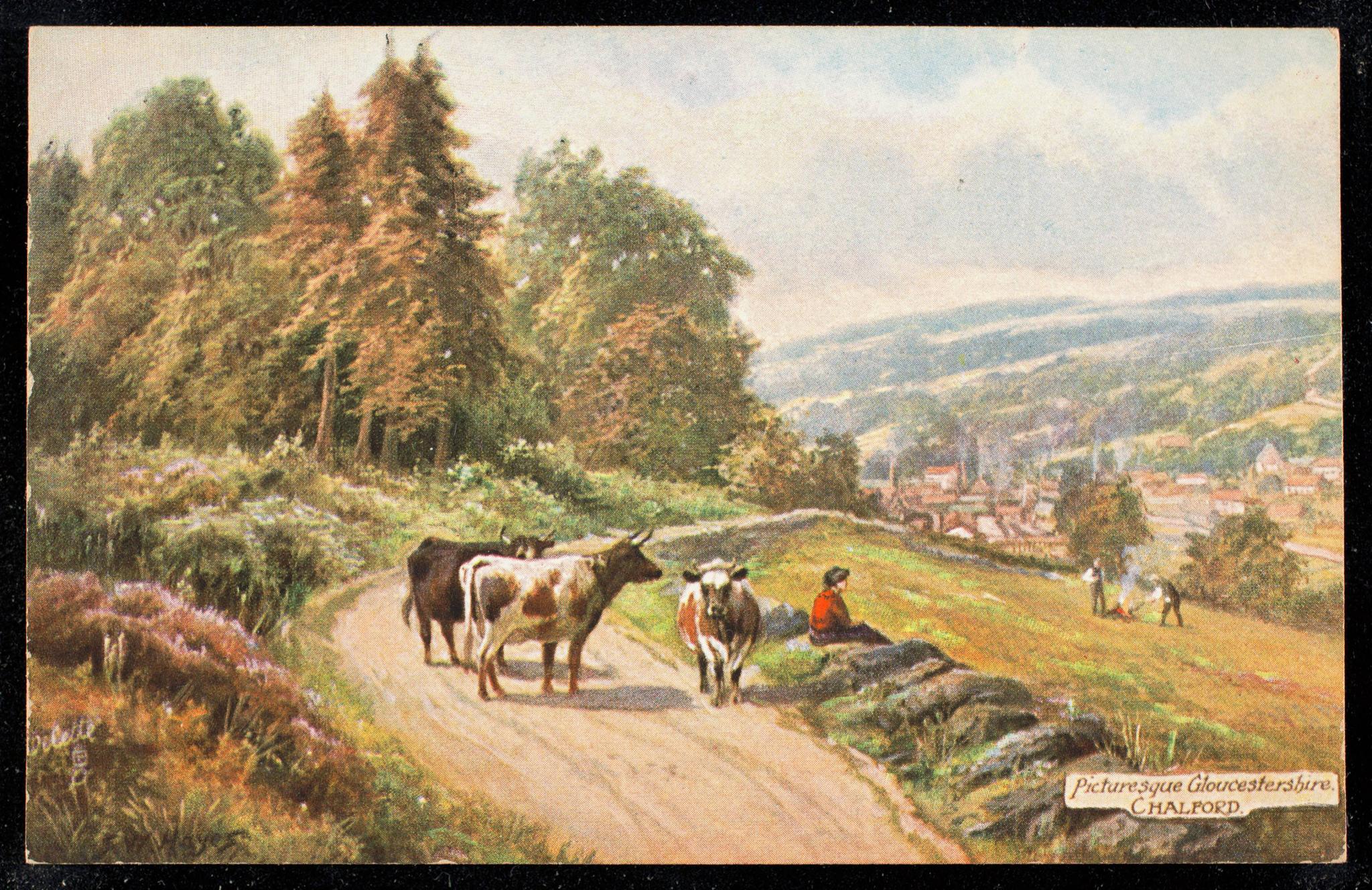Cottages on the hillside