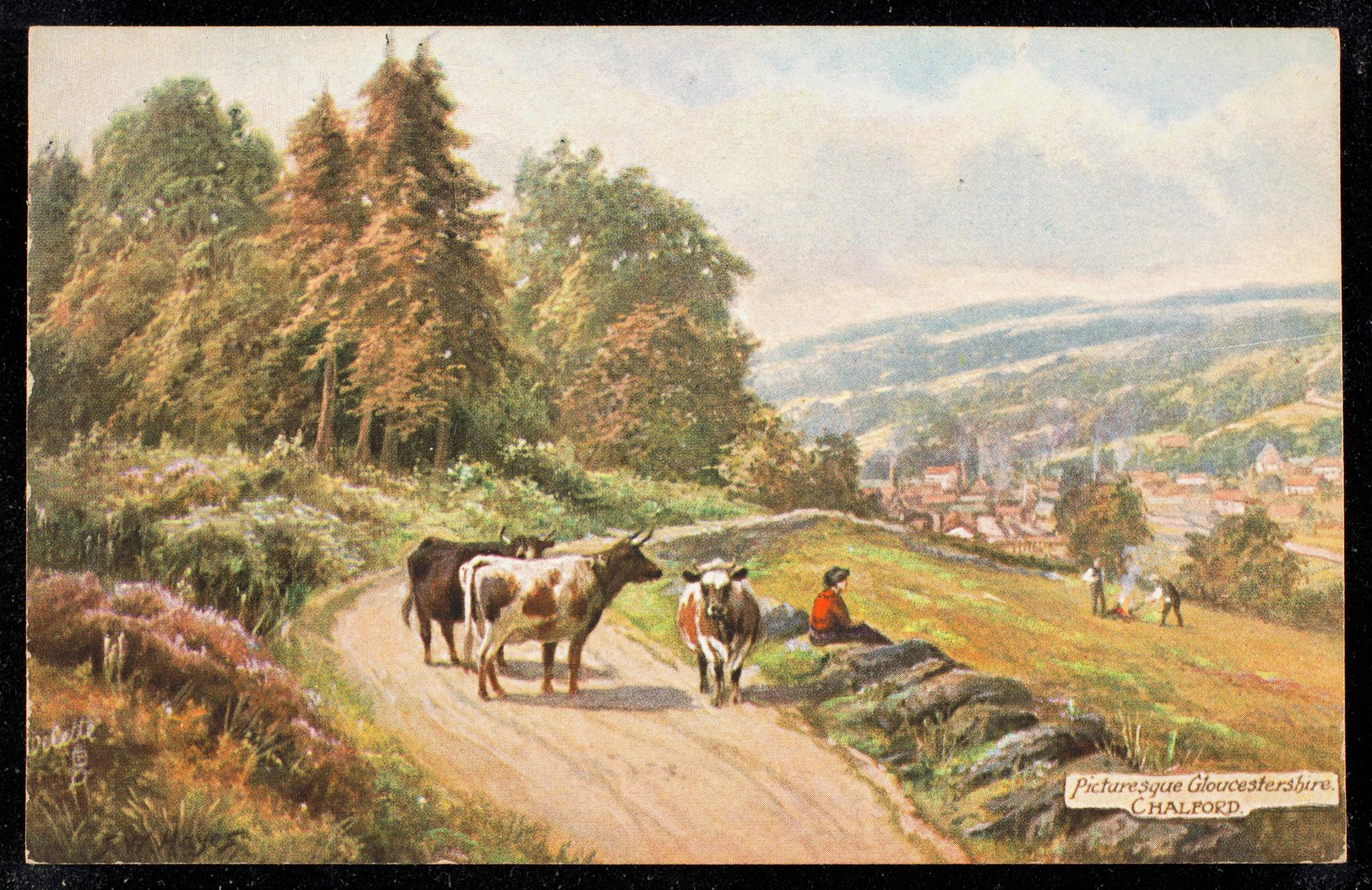 Cottages on the hillside