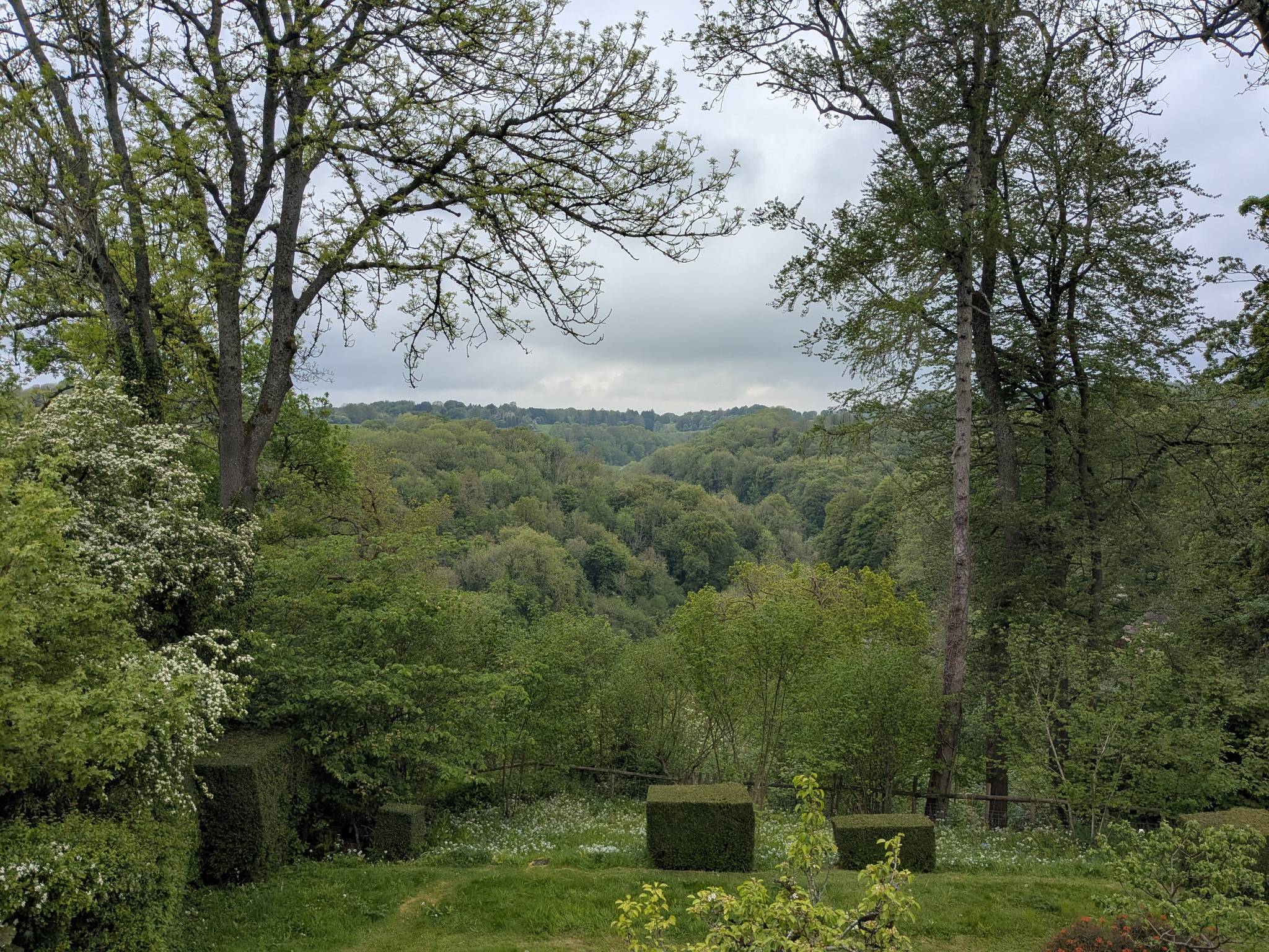 Estate Agent in Eastcombe - Adam Clegg