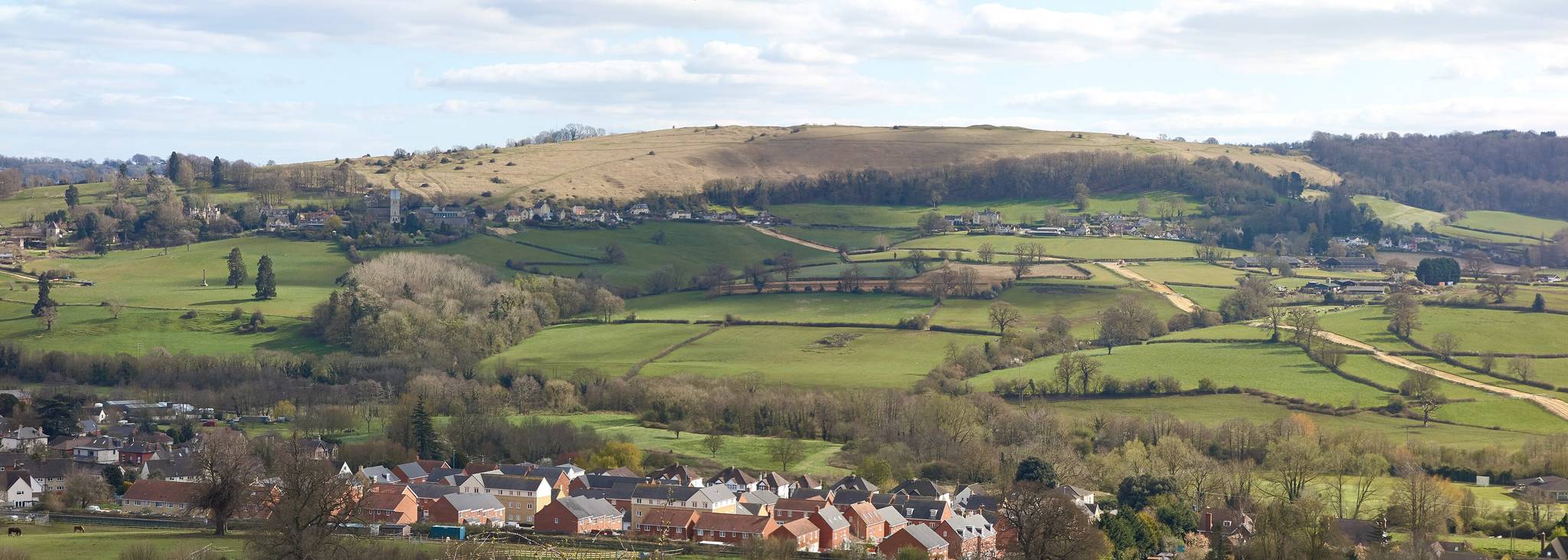 Estate Agent in Selsley - Adam Clegg