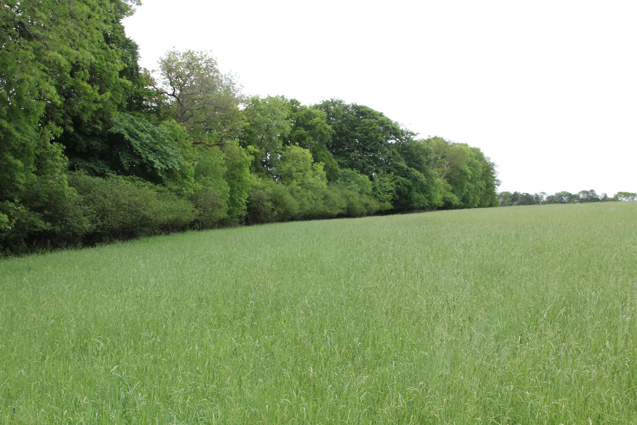 Througham & the Deep Lanes