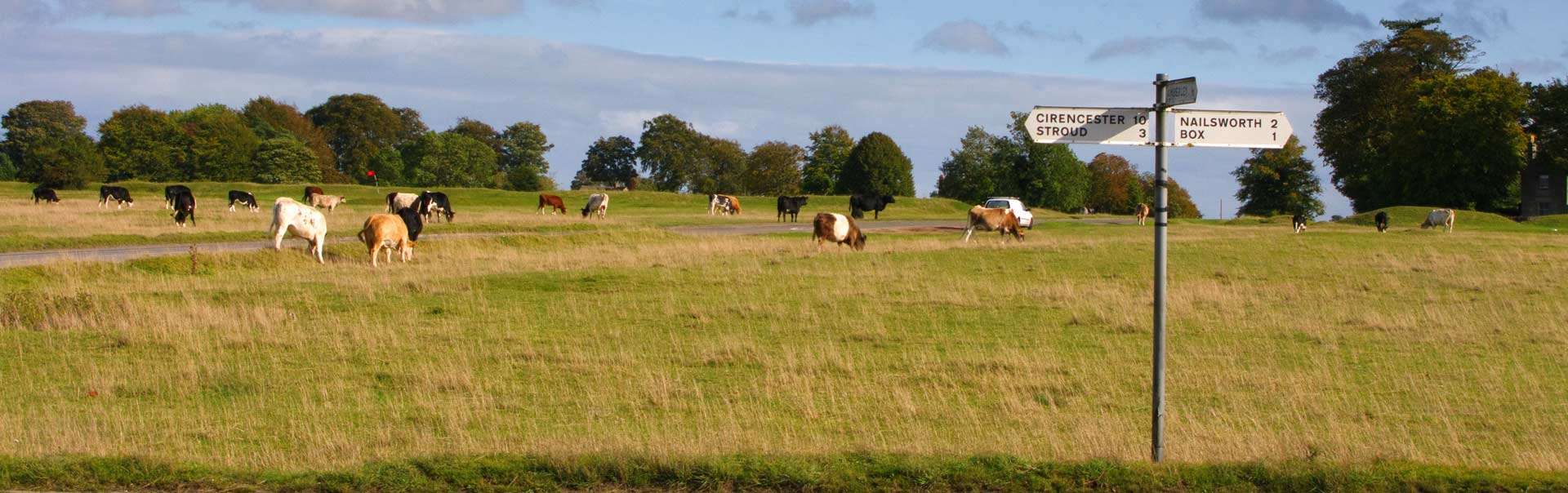 Sell Your House in Minchinhampton - Adam Clegg