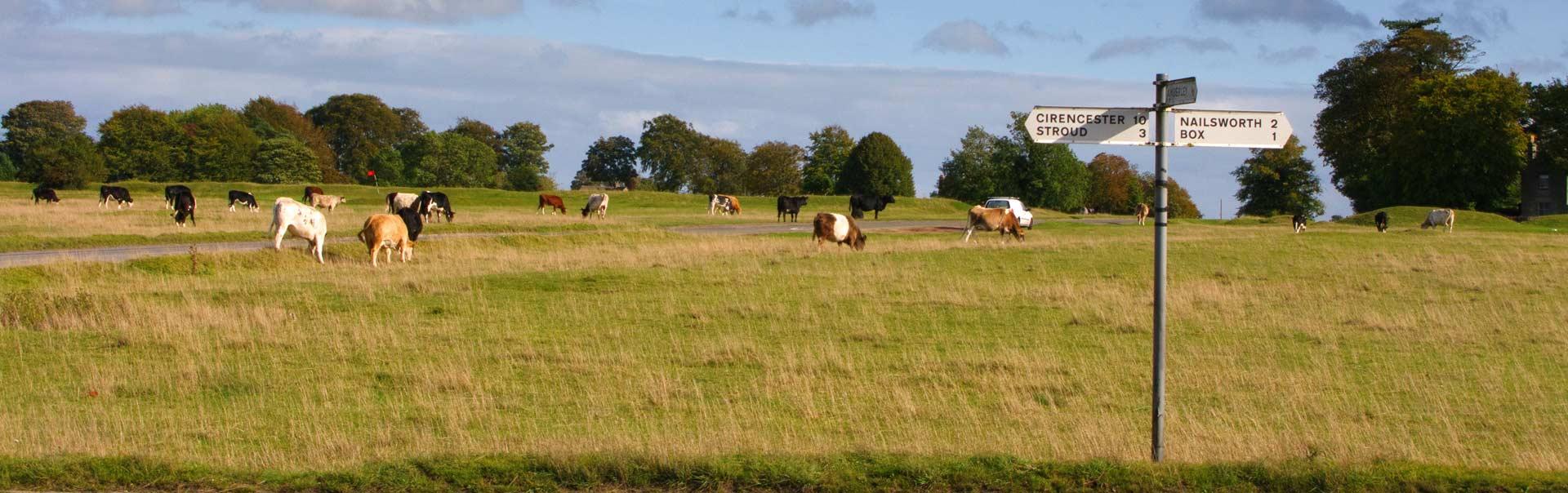 Minchinhampton
