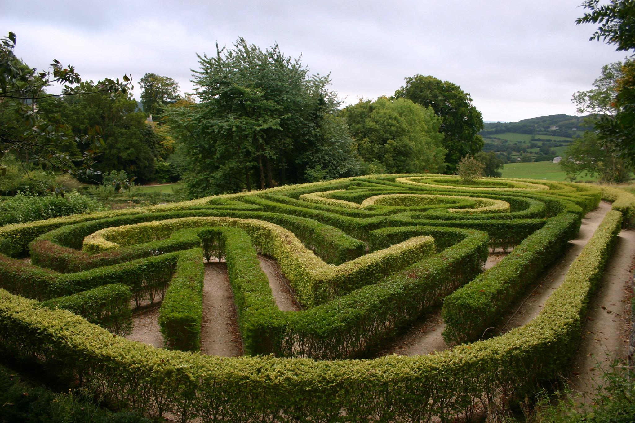 Rococo Garden