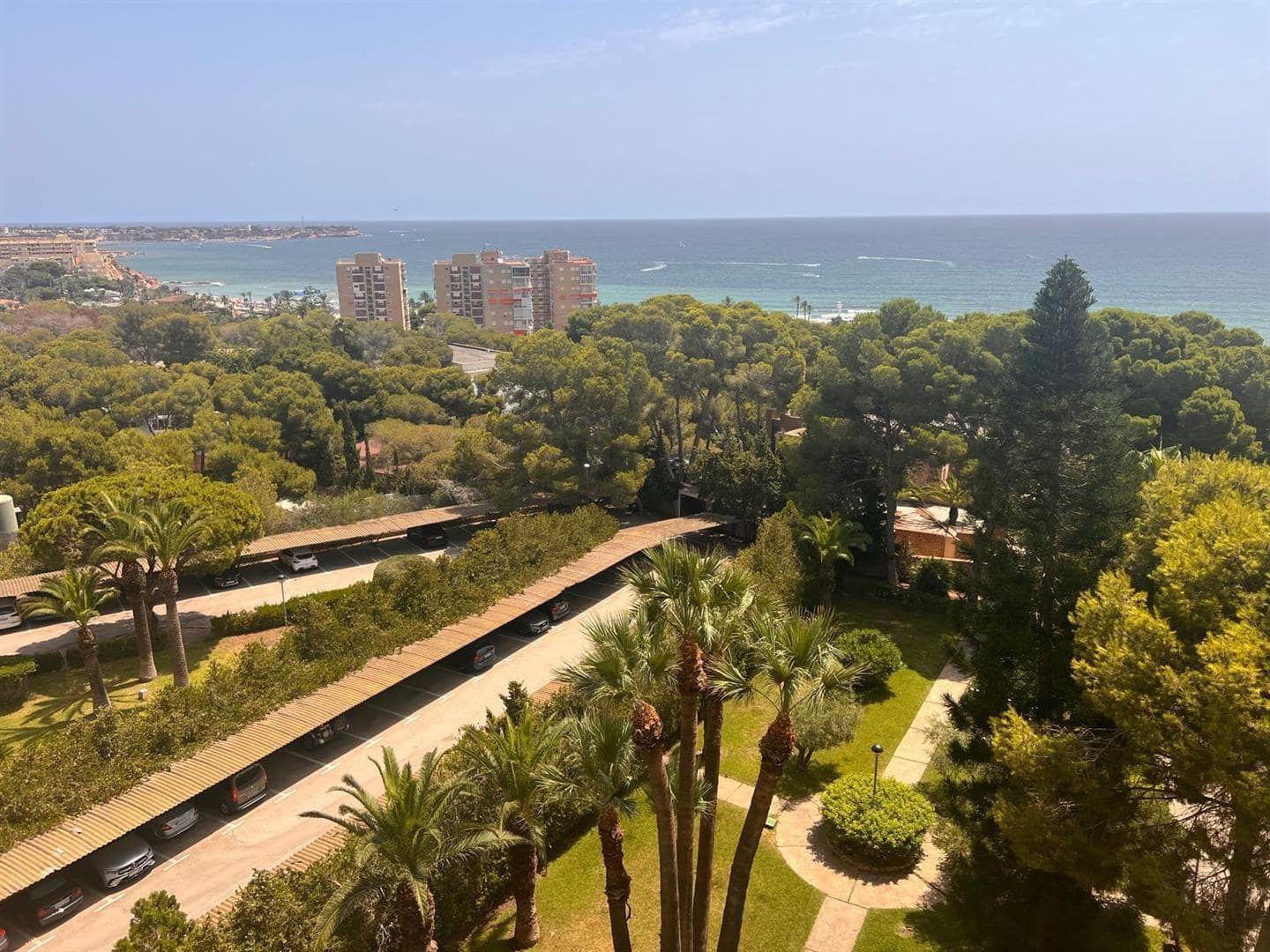 Elevated view across trees and nearby buildings towards the sea.
