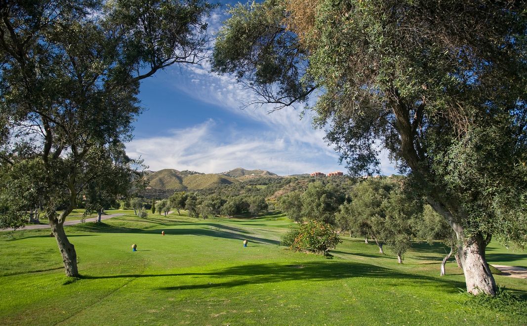 Higuerón Marbella Golf Resort