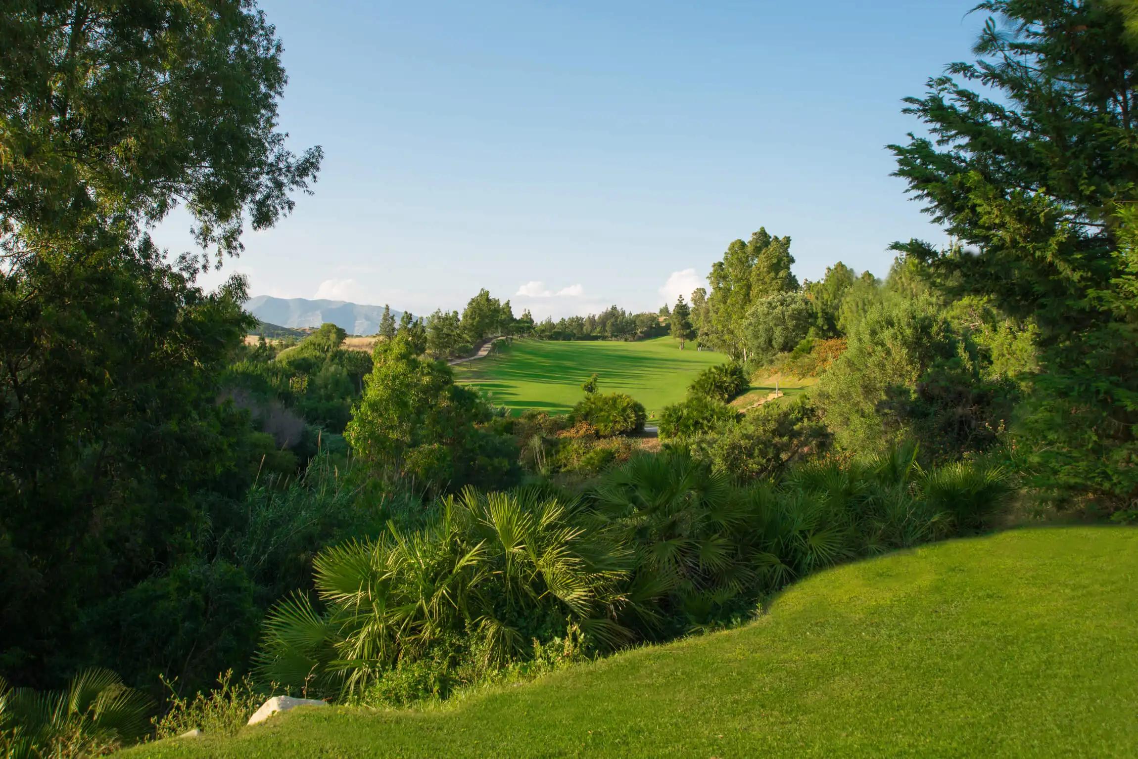 Pine-framed fairway at Chaparral Golf Club in Mijas Costa