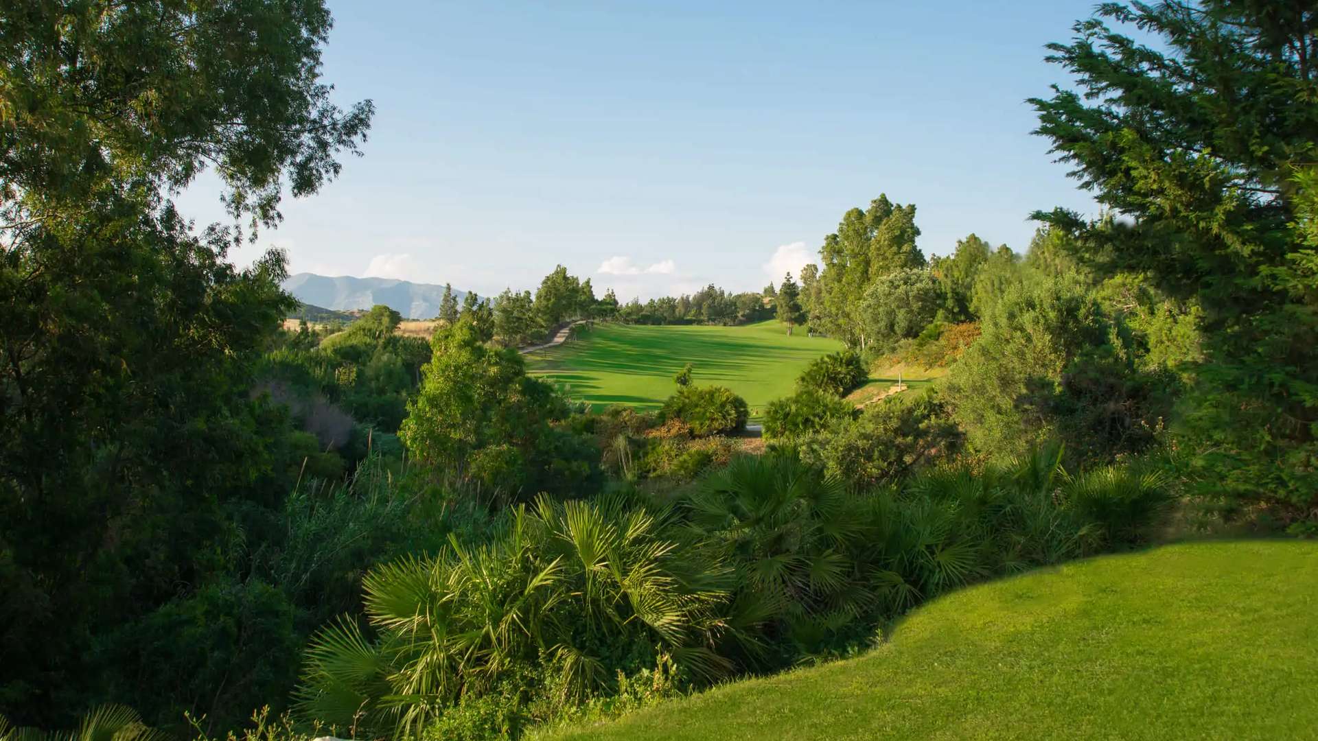 Pine-framed fairway at Chaparral Golf Club in Mijas Costa