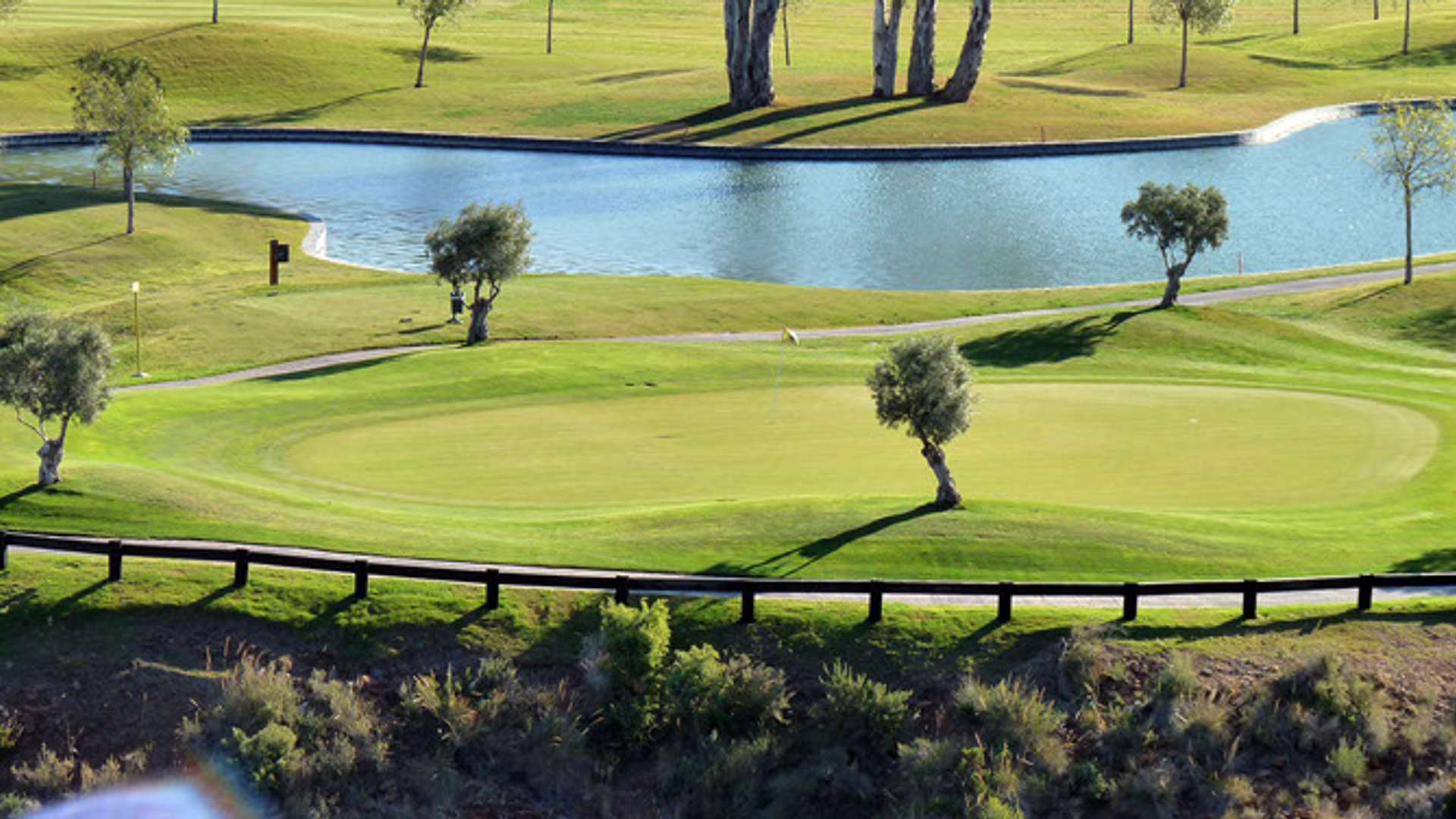 El Higueral Golf