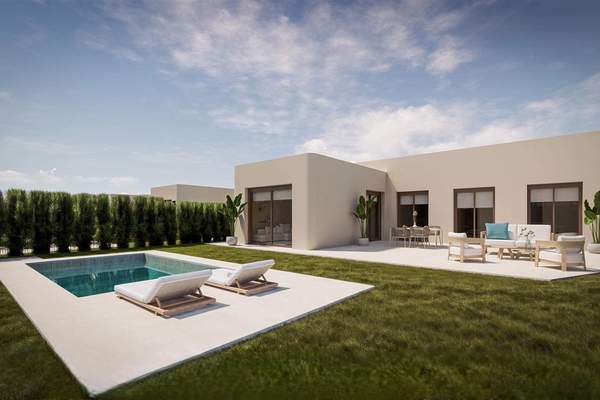 Representative daylight rendering of a contemporary single-storey home with a garden terrace and swimming pool