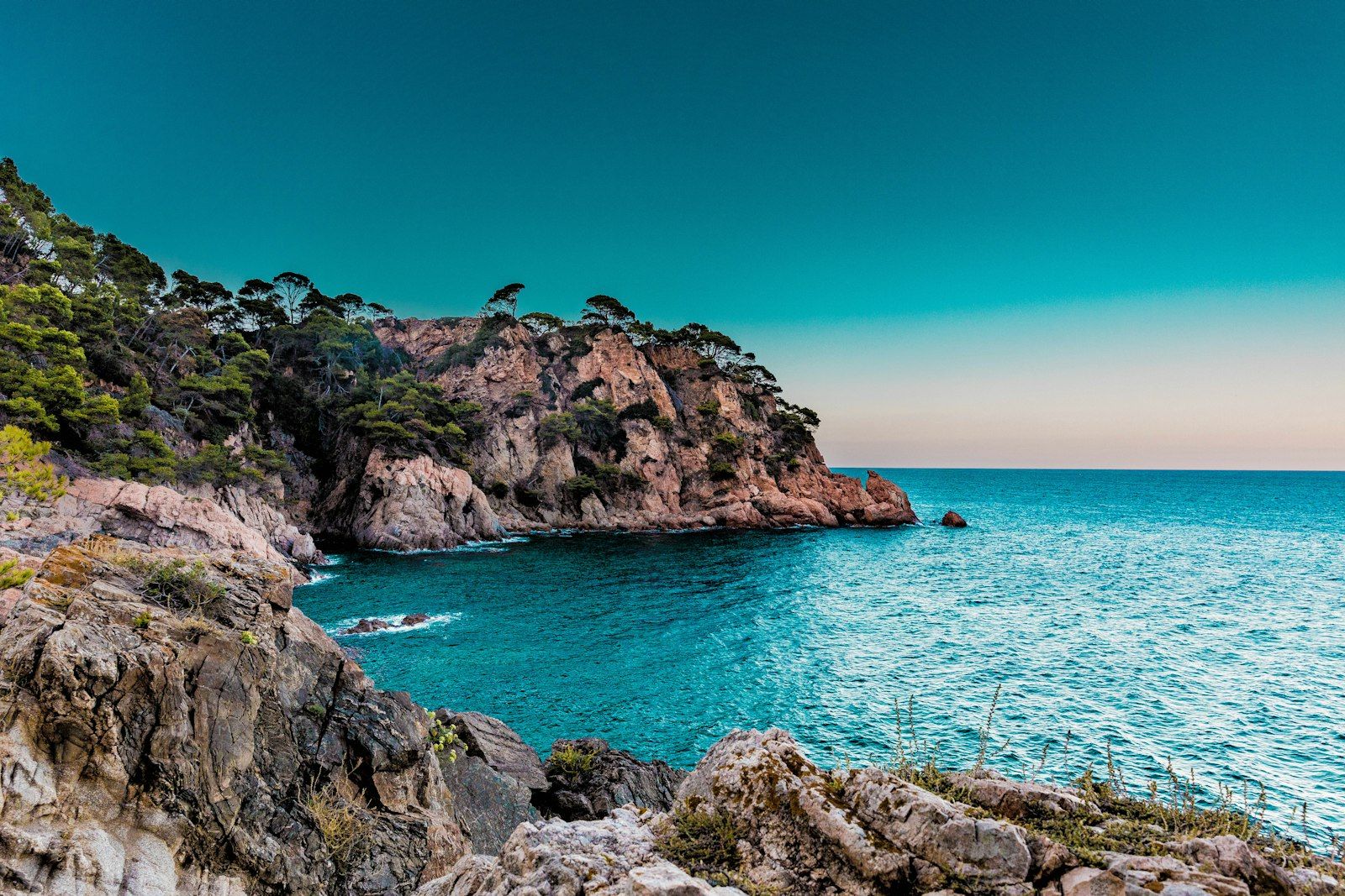 A pine-topped cove on the Spanish Mediterranean coast at dusk