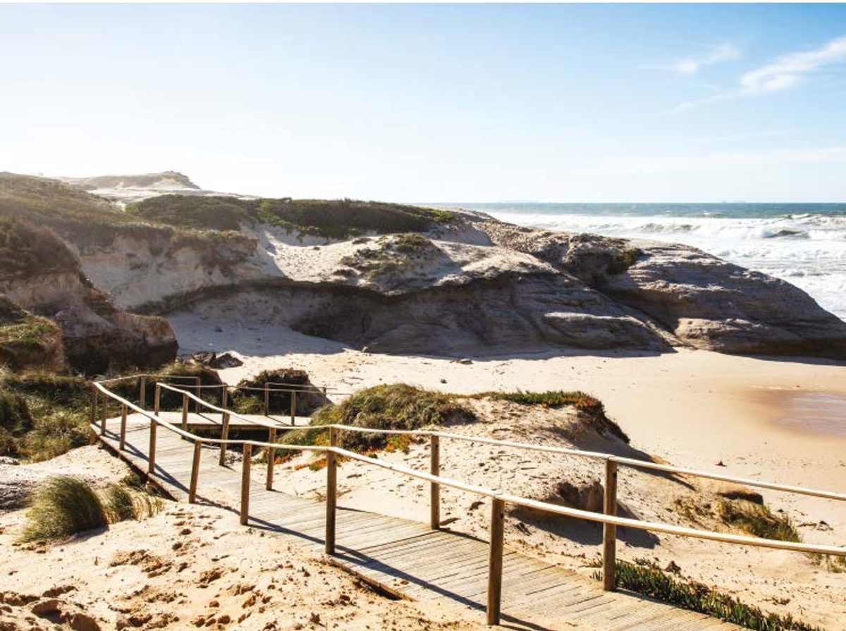 Timber boardwalk through the dunes to an Atlantic beach below eroded cliffs
