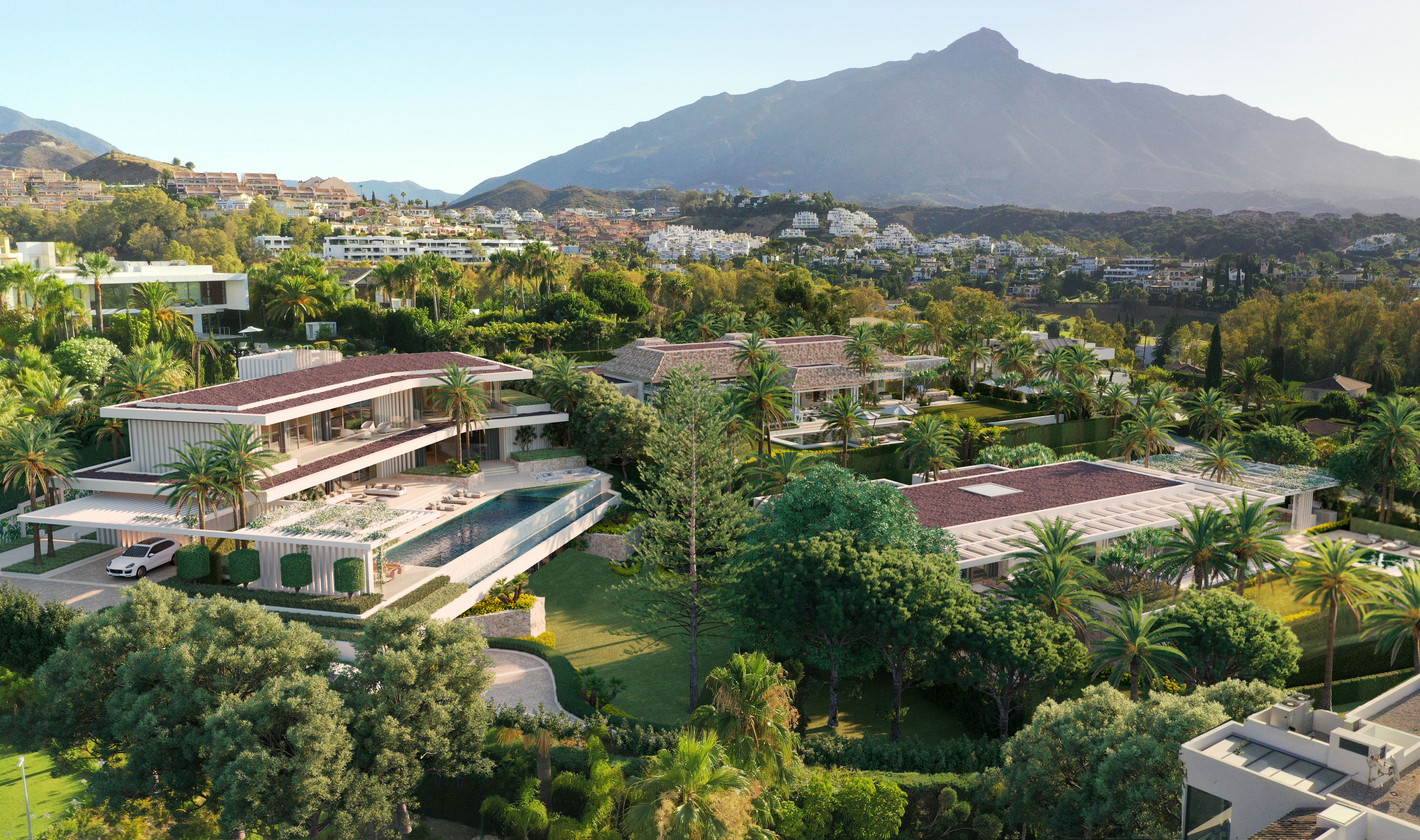 Cerquilla 39B source render candidate 7; draft review only, public-use approval pending.