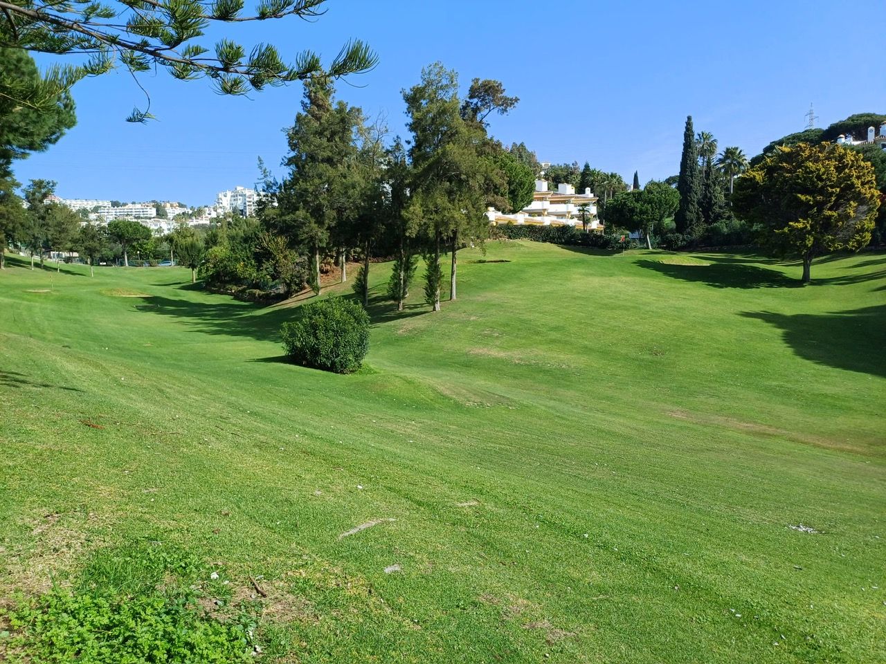 Tree-lined par-three course at Club de Golf La Siesta in Calahonda