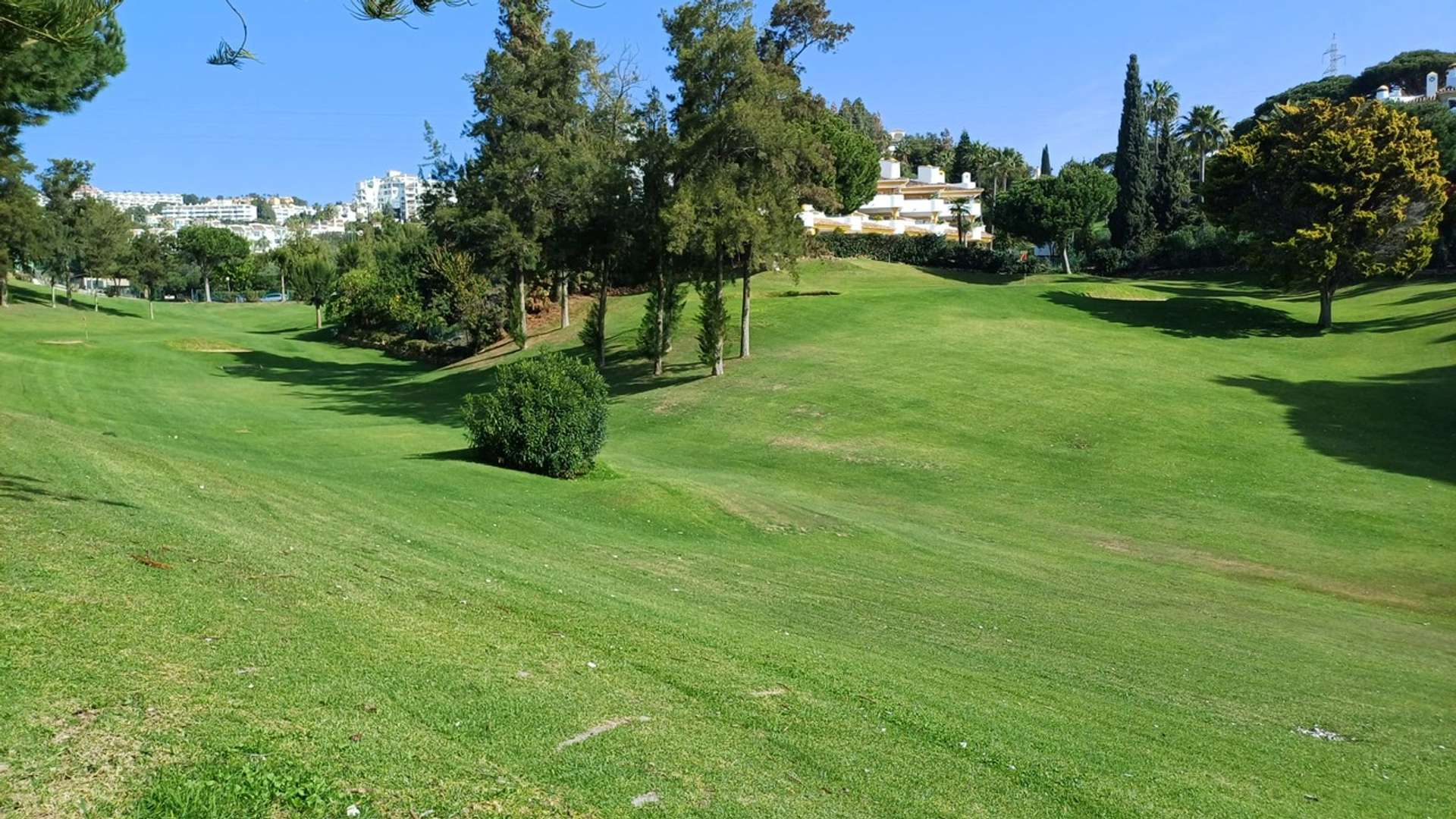 Tree-lined par-three course at Club de Golf La Siesta in Calahonda