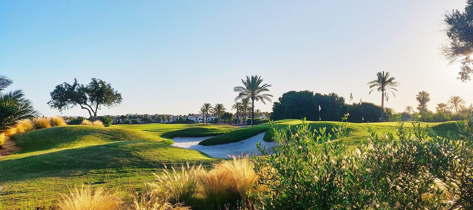 Golf course landscape at Roda Golf in Murcia, Spain
