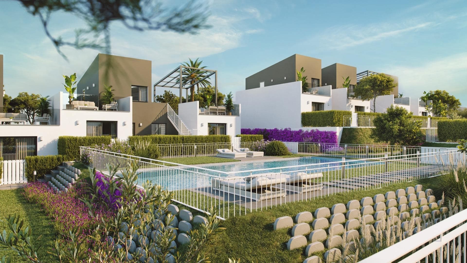 Illustrative day view of a communal pool, landscaped planting and modern townhouses