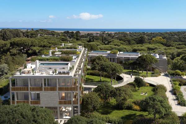 Azuya residences within pine woodland