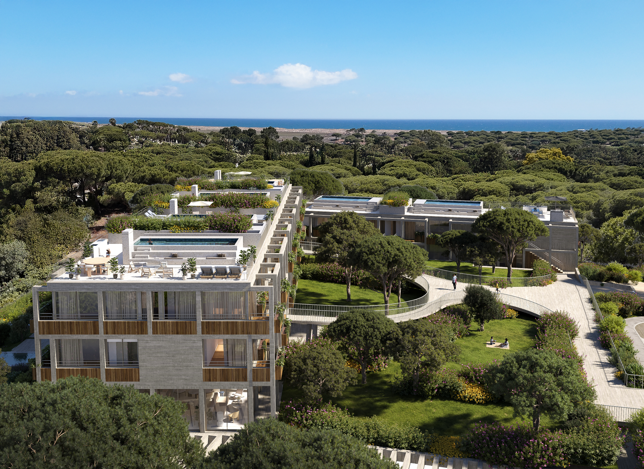 Aerial view of Azuya residences within protected pine woodland near Ria Formosa.