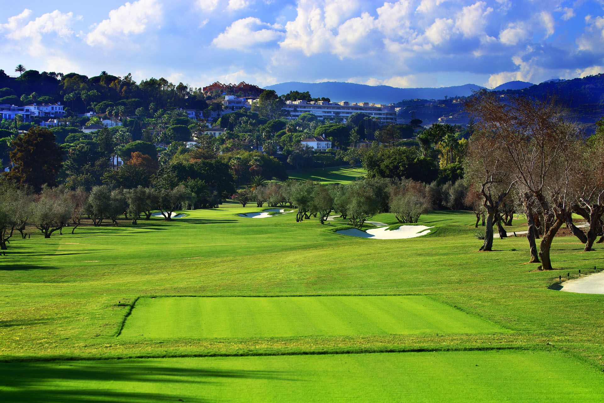 Real Club de Golf Las Brisas