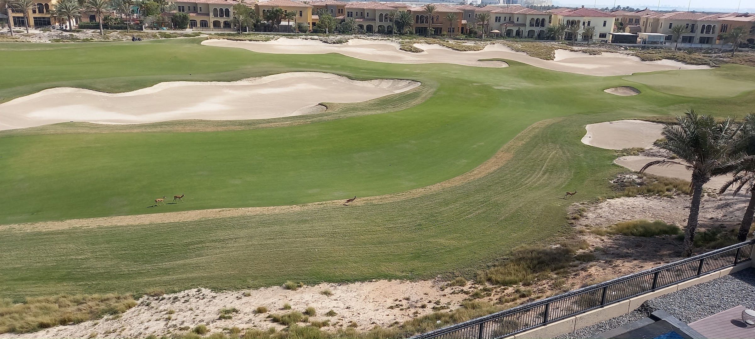 Course landscape at The Garden Course at Abu Dhabi Golf Club